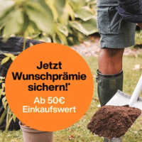 fiskars_375_jahre_aktion6