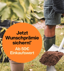 Fiskars Jubiläumsaktion: Gratis-Prämie, Baumpflanzung und Gewinnchance!